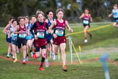 Australian-Cross-Country-Championships-2025-0554