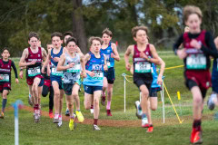 Australian-Cross-Country-Championships-2025-0563