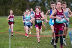 Australian-Cross-Country-Championships-2025-0622