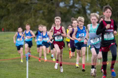 Australian-Cross-Country-Championships-2025-0633