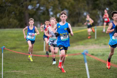 Australian-Cross-Country-Championships-2025-0675