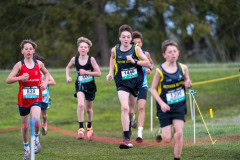 Australian-Cross-Country-Championships-2025-0695
