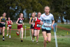 Australian-Cross-Country-Championships-2025-0902