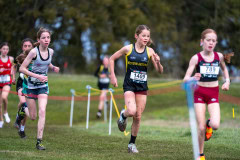 Australian-Cross-Country-Championships-2025-0910
