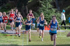 Australian-Cross-Country-Championships-2025-1277