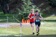 Australian-Cross-Country-Championships-2025-1393