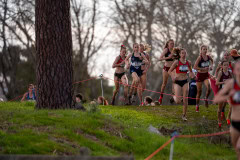 Australian-Cross-Country-Championships-2025-6013