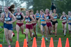 Australian-Cross-Country-Championships-2025-6054