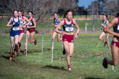 Australian-Cross-Country-Championships-2025-6440
