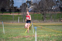 Australian-Cross-Country-Championships-2025-6666