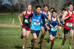 Australian-Cross-Country-Championships-2025-6818