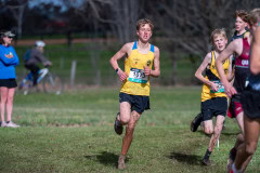 Australian-Cross-Country-Championships-2025-6895