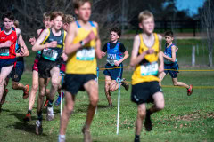 Australian-Cross-Country-Championships-2025-6901