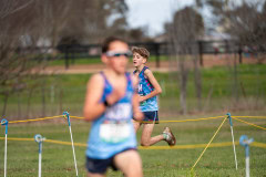 Australian-Cross-Country-Championships-2025-6972