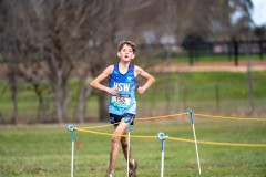 Australian-Cross-Country-Championships-2025-6976