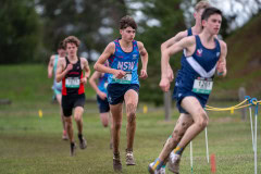 Australian-Cross-Country-Championships-2025-7201