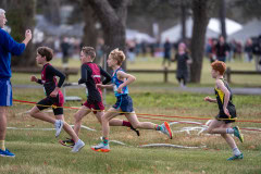 Australian-Cross-Country-Championships-2025-9637