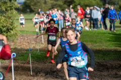 Australian-Cross-Country-Championships-2025-9691