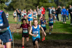 Australian-Cross-Country-Championships-2025-9696