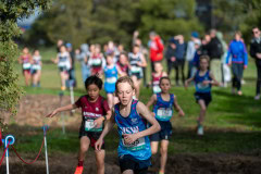 Australian-Cross-Country-Championships-2025-9699