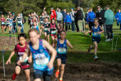 Australian-Cross-Country-Championships-2025-9701
