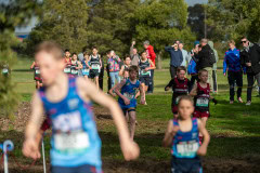 Australian-Cross-Country-Championships-2025-9704