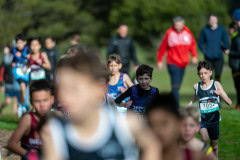 Australian-Cross-Country-Championships-2025-9714
