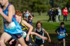 Australian-Cross-Country-Championships-2025-9722
