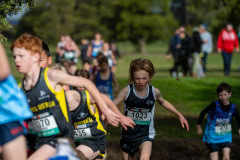 Australian-Cross-Country-Championships-2025-9723