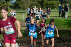 Australian-Cross-Country-Championships-2025-9727
