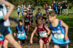 Australian-Cross-Country-Championships-2025-9735