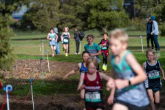 Australian-Cross-Country-Championships-2025-9746