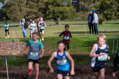 Australian-Cross-Country-Championships-2025-9750