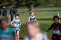 Australian-Cross-Country-Championships-2025-9754