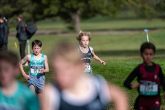 Australian-Cross-Country-Championships-2025-9755