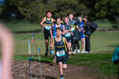 Australian-Cross-Country-Championships-2025-9769