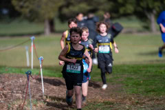 Australian-Cross-Country-Championships-2025-9777