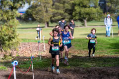 Australian-Cross-Country-Championships-2025-9778