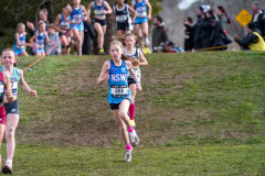 Australian-Cross-Country-Championships-2025-9877