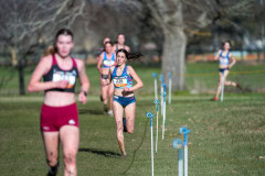 Australian-Cross-Country-Championships-2025x-0071