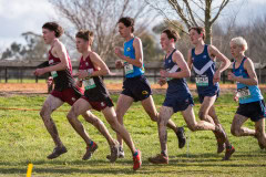 Australian-Cross-Country-Championships-2025x-0347