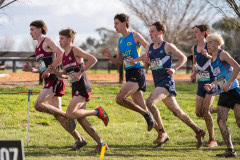 Australian-Cross-Country-Championships-2025x-0349