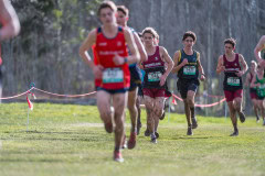 Australian-Cross-Country-Championships-2025x-0835