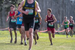 Australian-Cross-Country-Championships-2025x-0843