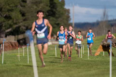Australian-Cross-Country-Championships-2025x-1105