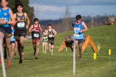 Australian-Cross-Country-Championships-2025x-1213
