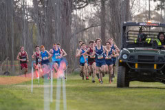 Australian-Cross-Country-Championships-2025x-1415
