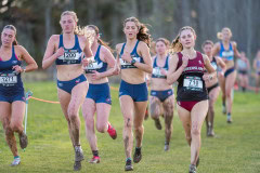 Australian-Cross-Country-Championships-2025x-2642
