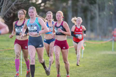 Australian-Cross-Country-Championships-2025x-2699