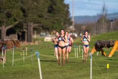 Australian-Cross-Country-Championships-2025x-3741
